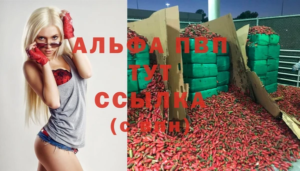прущие грибы Армянск