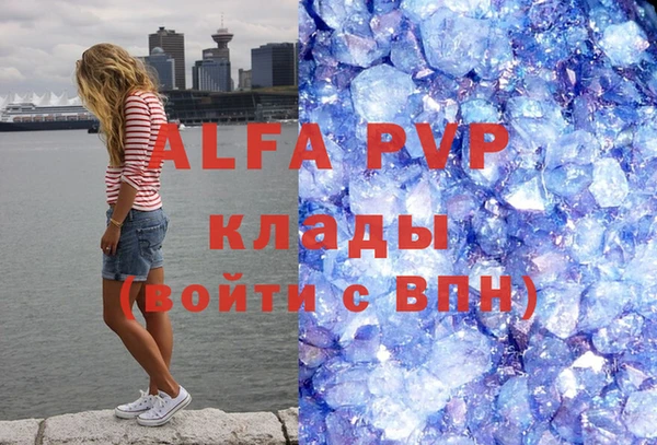 прущие грибы Армянск