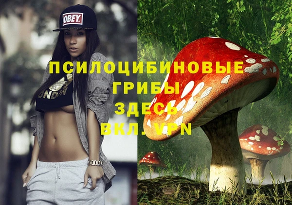 прущий лед Арсеньев