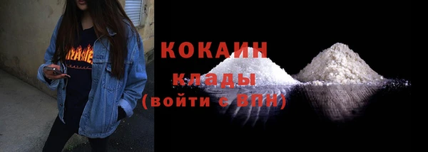 прущие грибы Армянск