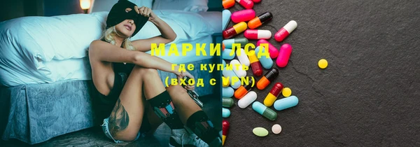 прущие грибы Армянск