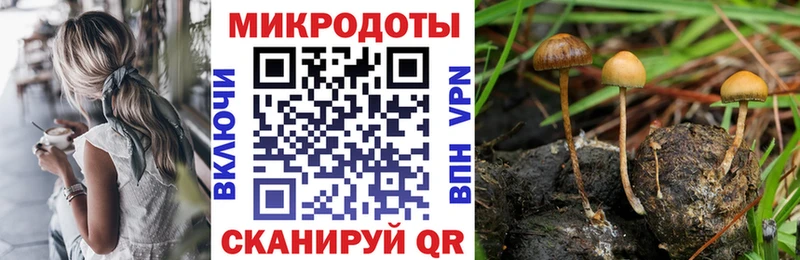 Псилоцибиновые грибы GOLDEN TEACHER  Палласовка 